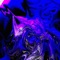 1 Of a Kind - Nemskiya lyrics