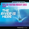 25 Top Vineyard Worship Songs (The River Is Here) [Live]
