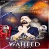 Waheed Rizvi - Tumhain Dekh Ker Gee Raha Hon
