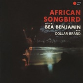 African Songbird artwork