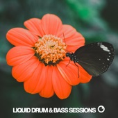 Liquid Drum & Bass Sessions 2019 Vol 5 artwork