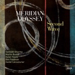 Meridian Odyssey - Looking Ahead