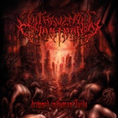 Intravenous Contamination - Martyred and Decimated