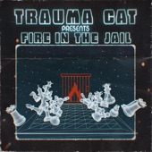 Trauma Cat - Fire in the Jail