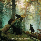The Carpathian Summit artwork