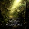 Alone in the Meantime artwork