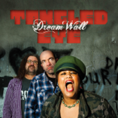 Dream Wall - Tangled Eye
