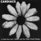 Victory Egg - Cardiacs lyrics