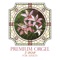 Piece of My Wish (Instrumental) - Junichi Kamiyama J.Project lyrics