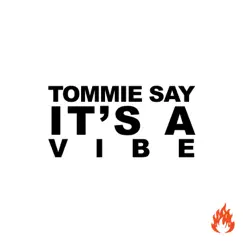 Tommie Say It's a Vibe by Tommie Sunshine album reviews, ratings, credits