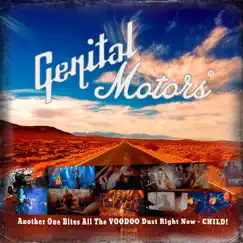 Another One Bites All the Voodoo Dust Right Now, Child! - Single by GNTL Motors album reviews, ratings, credits