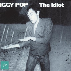 THE IDIOT cover art