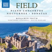Piano Concerto No. 2 in A-Flat Major, H. 31: I. Allegro moderato (Arr. H. Priegnitz as Irish Concerto) artwork