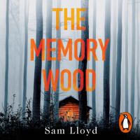 Sam Lloyd - The Memory Wood artwork