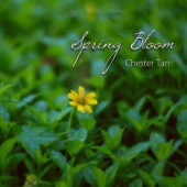 Spring Bloom artwork