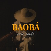 Baobá artwork