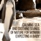 Anxiety Relief (Mommy and Baby Track) - Nature Music Pregnancy Academy lyrics
