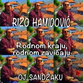 Rodnom kraju, rodnom zavičaju (Oj Sandžaku) artwork