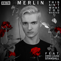 Merlin - This Ain't What You Wanted (feat. Emma Louise Stansall) artwork