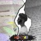 All I See - MXNACE lyrics