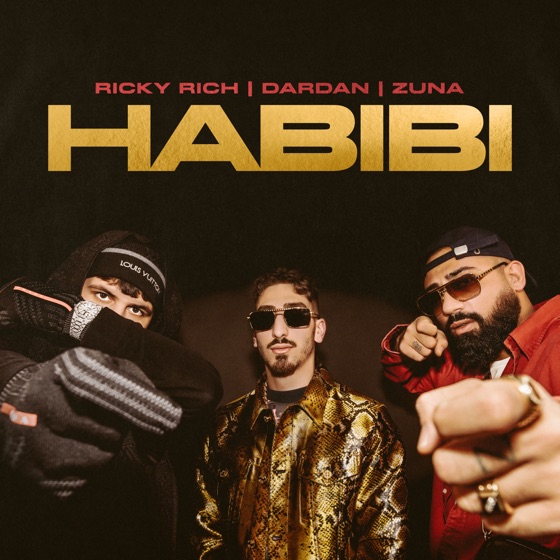 Cover artwork for Habibi