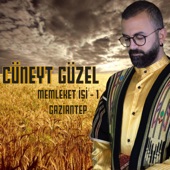 Memleket İşi - 1 (Gaziantep) - EP artwork