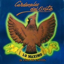 Cardenales del Exito - La Ciudad Más Bella