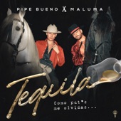 Tequila artwork