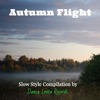Autumn Flight, 2020