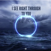 I See Right Through to You (feat. Amy Grace ) artwork