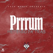 Prrrum (Metiendo Pa' tras) artwork