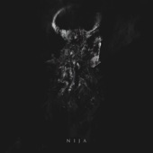 Nija (Deluxe Edition) artwork