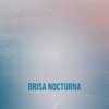 Brisa Nocturna