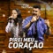 Pirei Meu Coração artwork