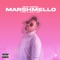 Marshmello - Kevin Torrez & Tha Gravity Music lyrics