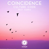 Coincidence artwork