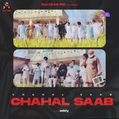 Chahal Saab artwork