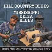 From Hill Country to Mississippi Delta Blues - Terry "Harmonica" Bean & Super Chikan