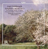 Goldmark: Symphonic Poems, Vol. 2 artwork