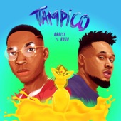 Tampico (feat. Buju) artwork