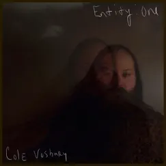 Entity: One by Cole Vosbury album reviews, ratings, credits