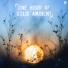 One Hour of Solid Ambient, 2019