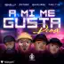 A Mi Me Gusta (feat. Guariboa) [Remix] song reviews