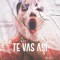 Te Vas Así - Real Zeyn lyrics
