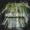 Meditation in the Backwoods: Calming Nature Ambiance, Zen Anti Stress Therapy album lyrics, reviews, download