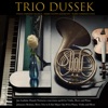 TRIO DUSSEK - Johannes Brahms, Horn Trio in E-flat Major Op. 40 for Piano, Violin and Horn: Scherzo,Allegro