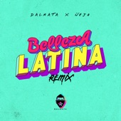 Belleza Latina (Remix) artwork