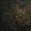 Bad Light - Single