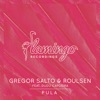 Gregor Salto - Pula