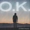 O.K. - Chris Picco lyrics